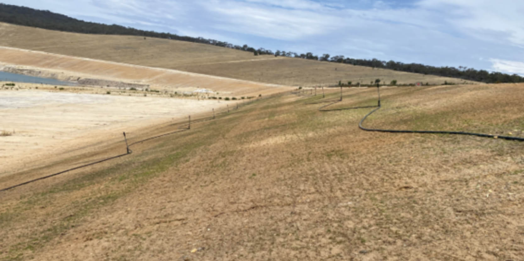 Grass with temporary sprinkler system