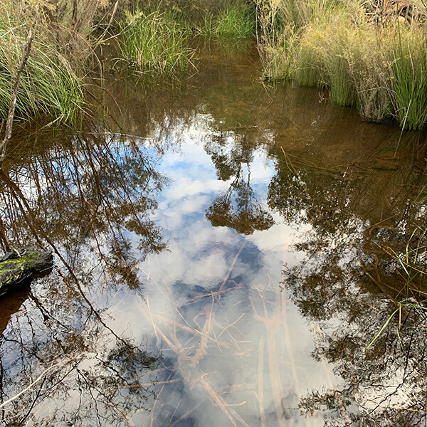 water stewardship